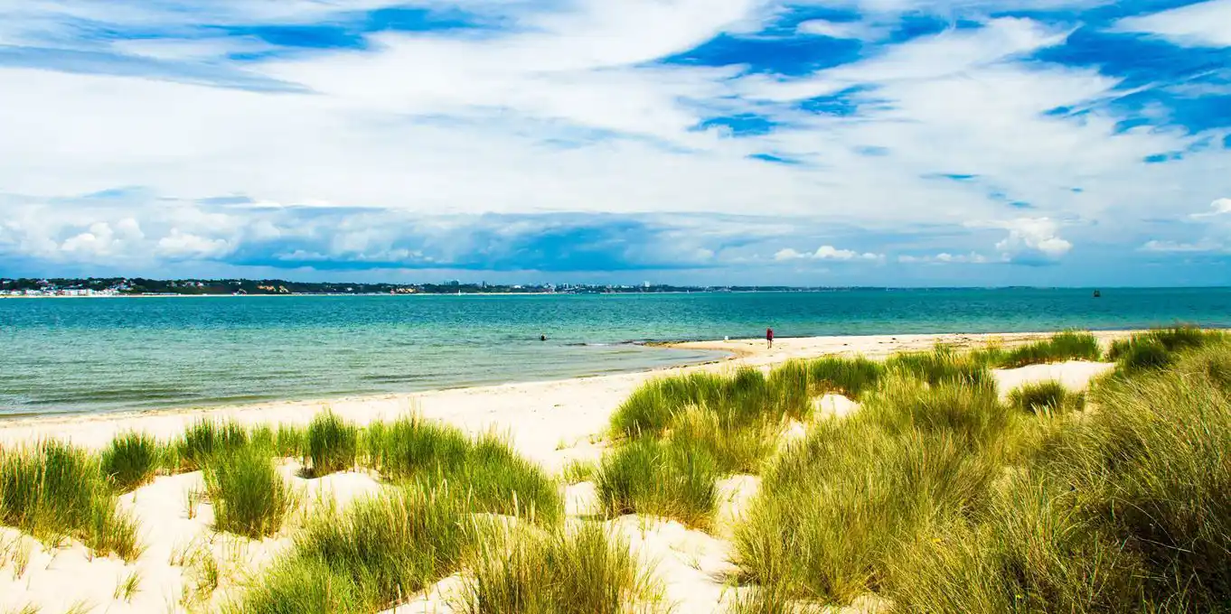 Campsites near Studland Bay