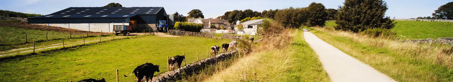 Campsites on High Peak