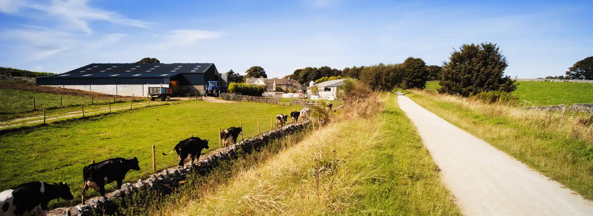 Campsites on High Peak