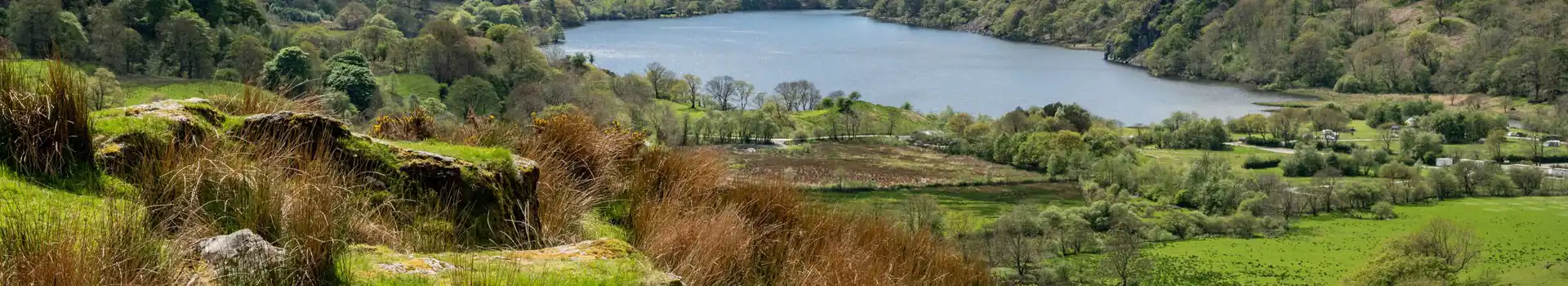 Campsites near Nant Gwynant