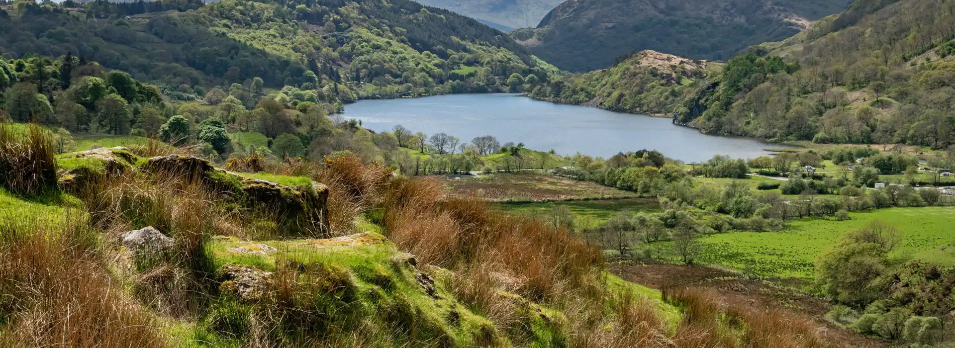 Campsites near Nant Gwynant