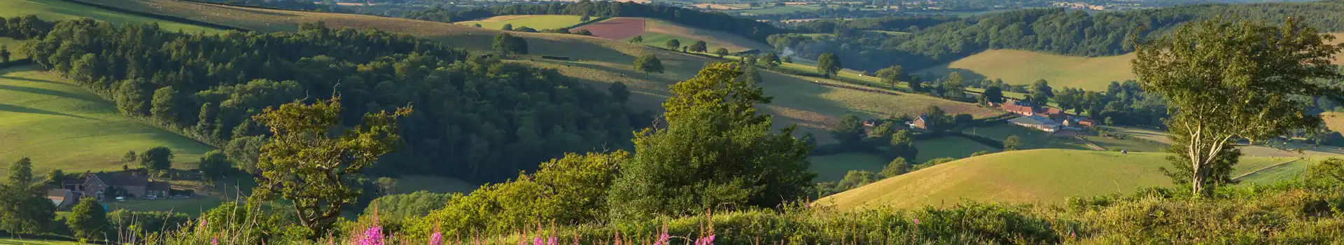 Campsites near the Quantock Hills