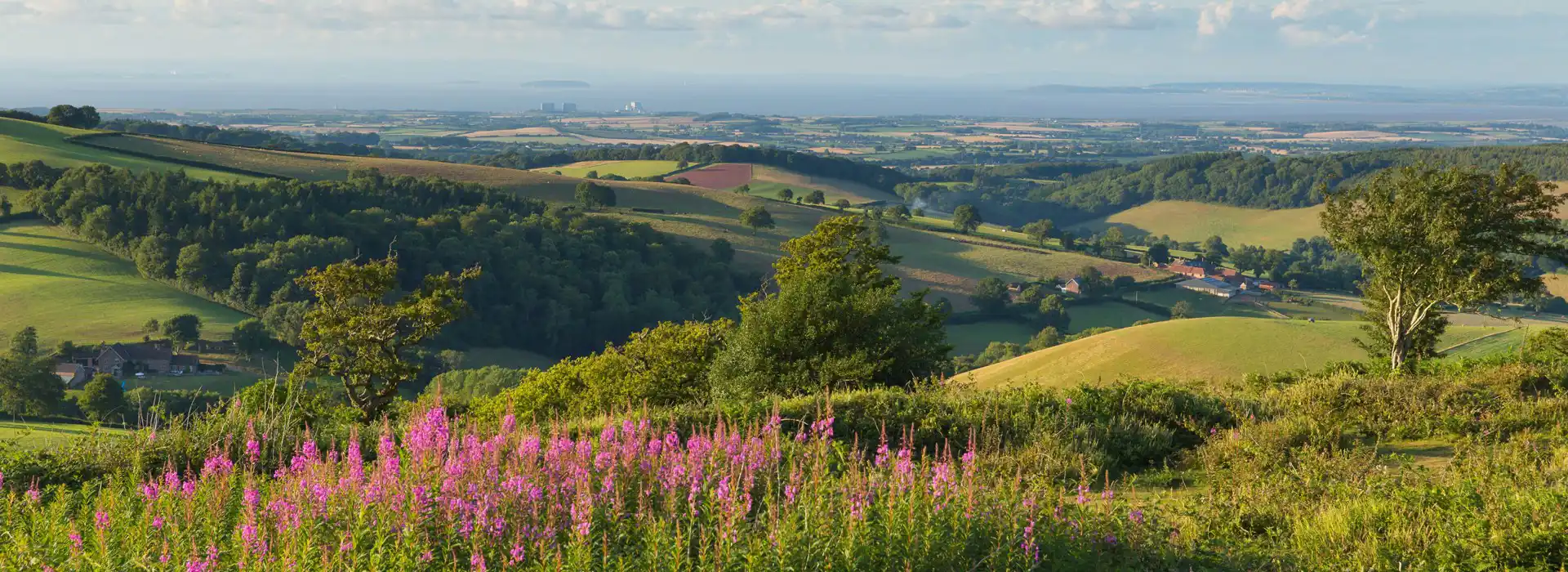 Campsites near the Quantock Hills