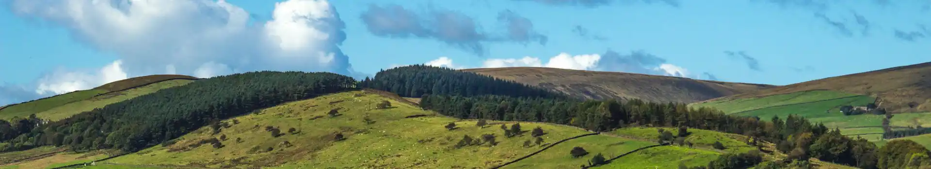 Campsites in Ribble Valley