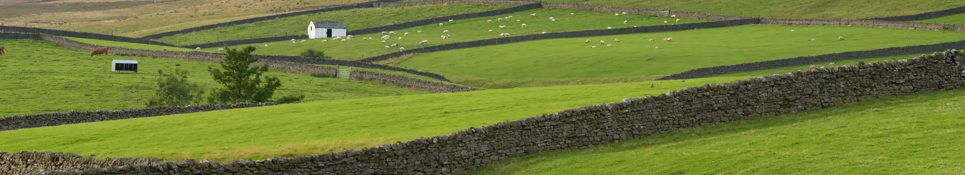 Campsites in Weardale