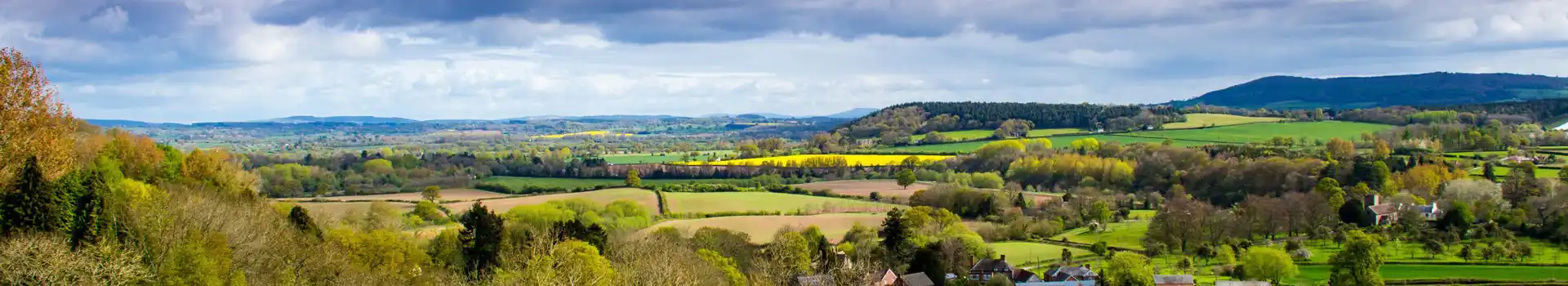 Campsites in the Golden Valley