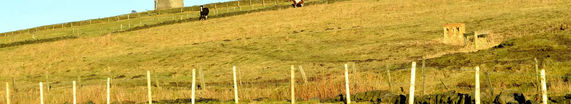 Campsites in Tameside
