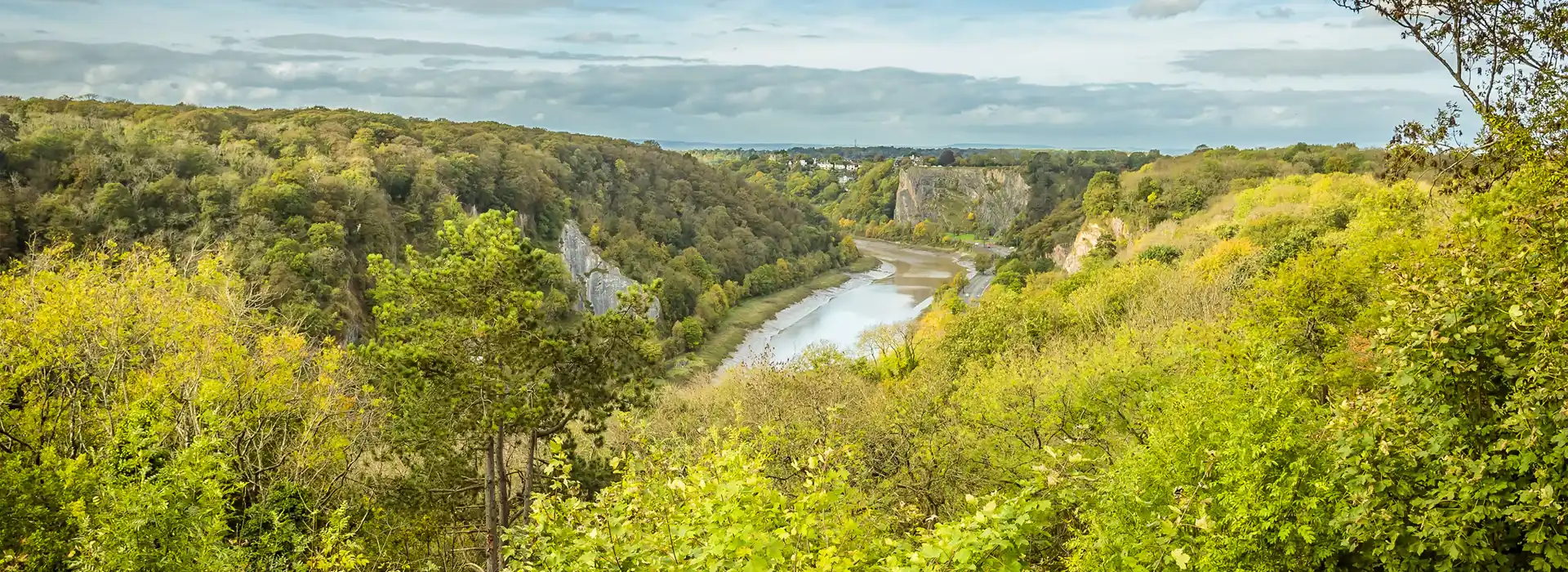 Campsites in Avonmouth