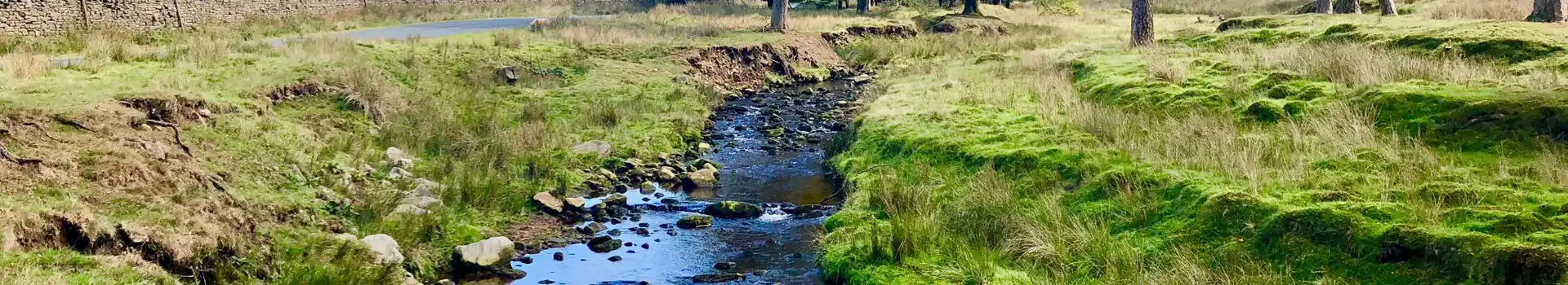 Campsites near the Trough of Bowland