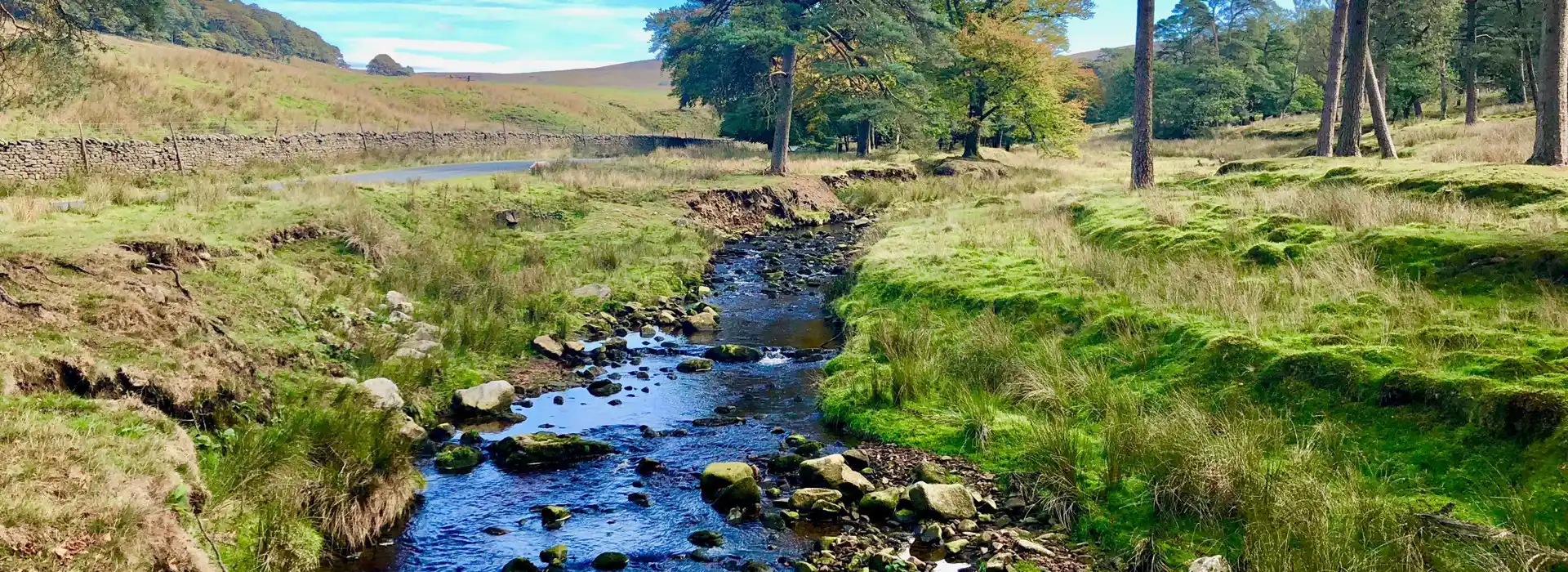 Campsites near the Trough of Bowland