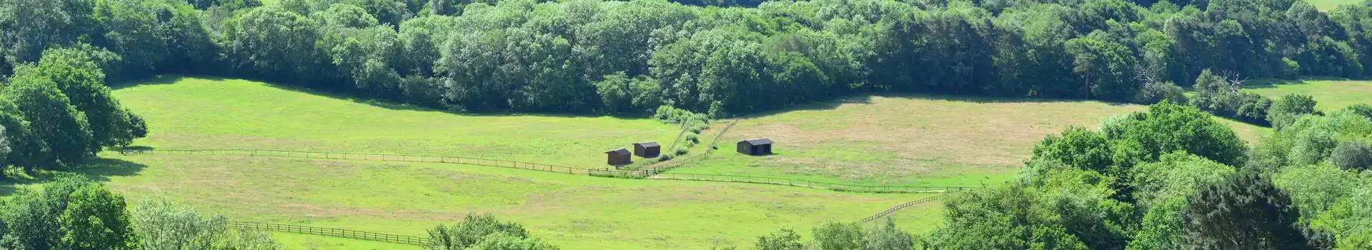 Campsites in Sussex and Surrey