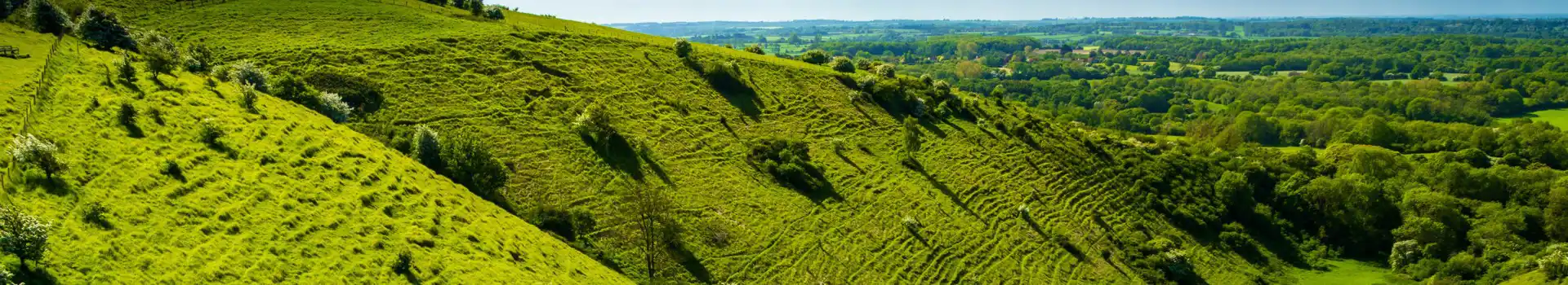 Campsites in the Kent Downs