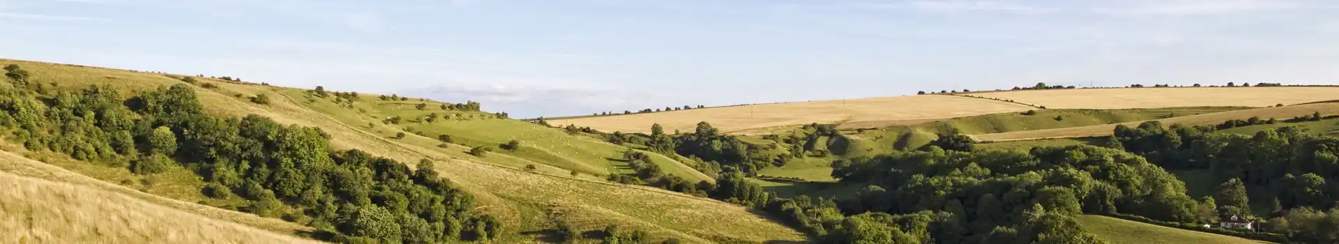 Campsites on the Salisbury Plain