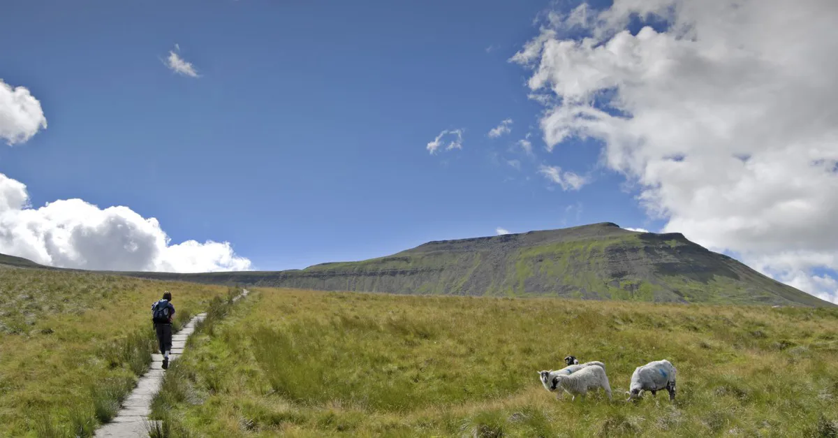 20+ top campsites near the Yorkshire Three Peaks Challenge