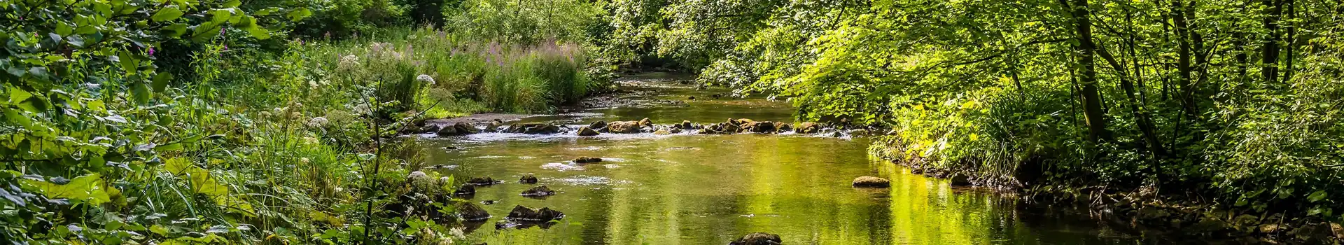 Campsites near the Monsal Trail