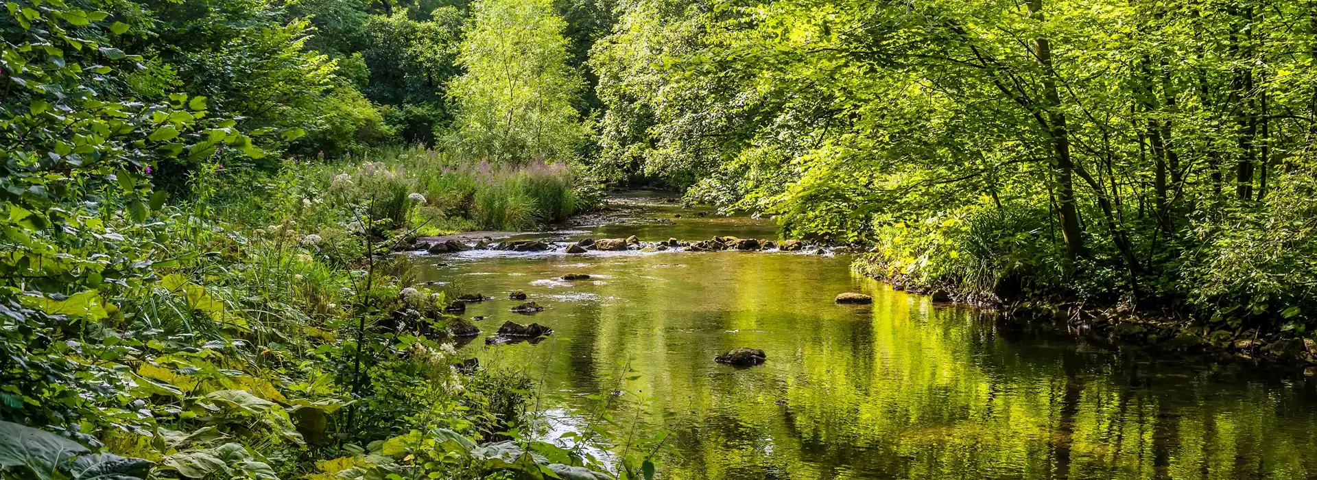 Campsites near the Monsal Trail