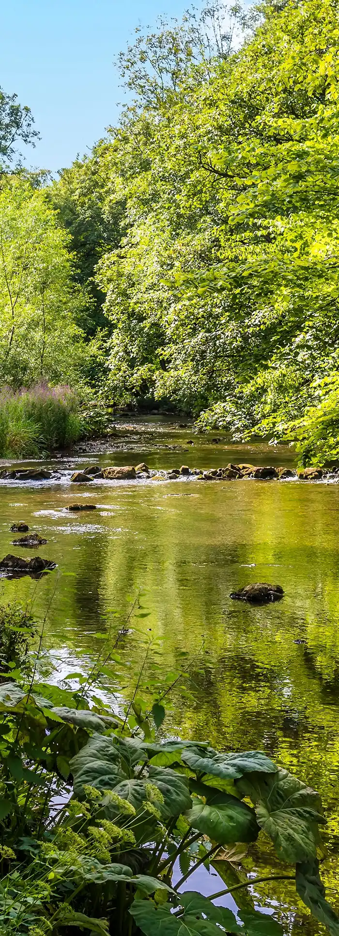 Monsal trail camping hotsell