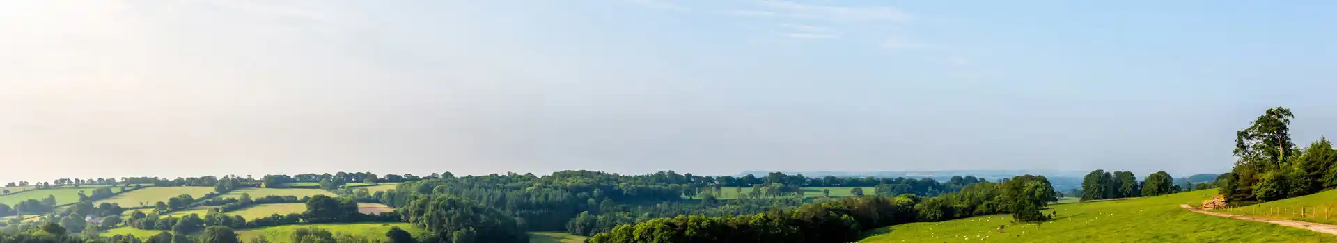 Campsites in South Somerset