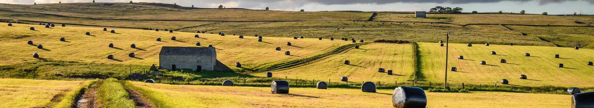 Campsites in Baldersdale