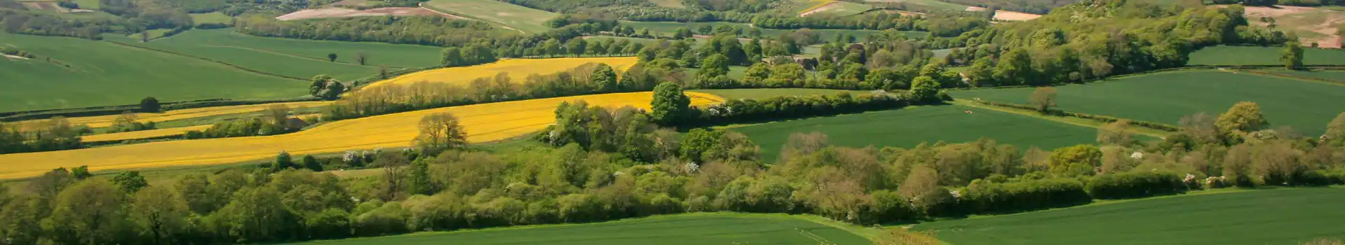 Campsites in North Dorset