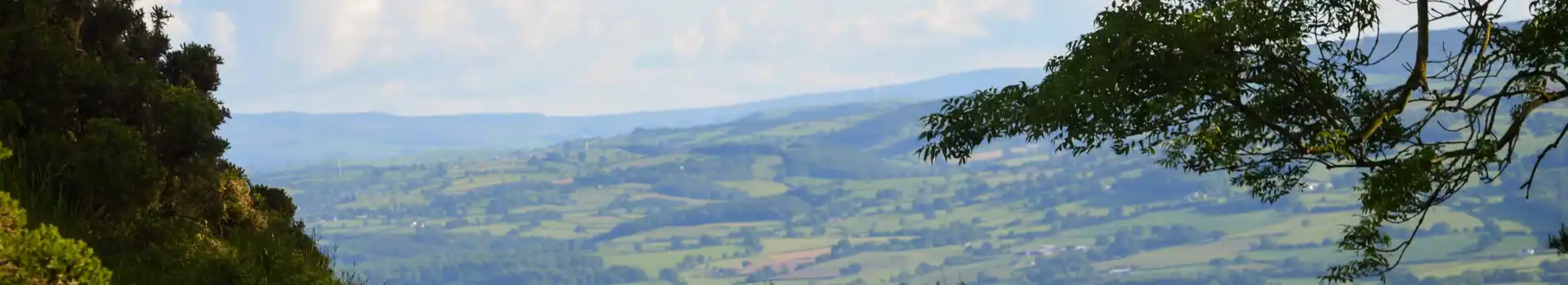 Campsites in North East Wales