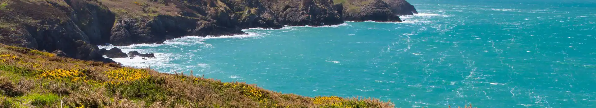 Campsites in North Pembrokeshire