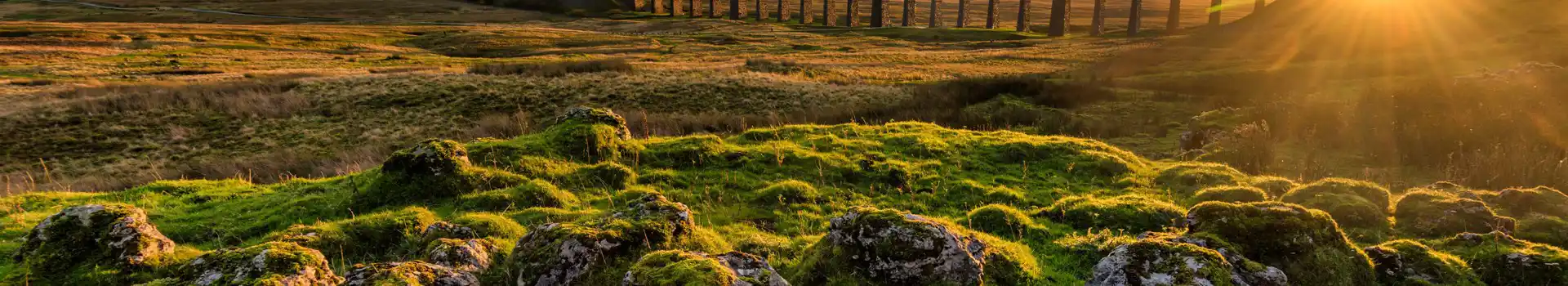 Campsites in Ribblehead