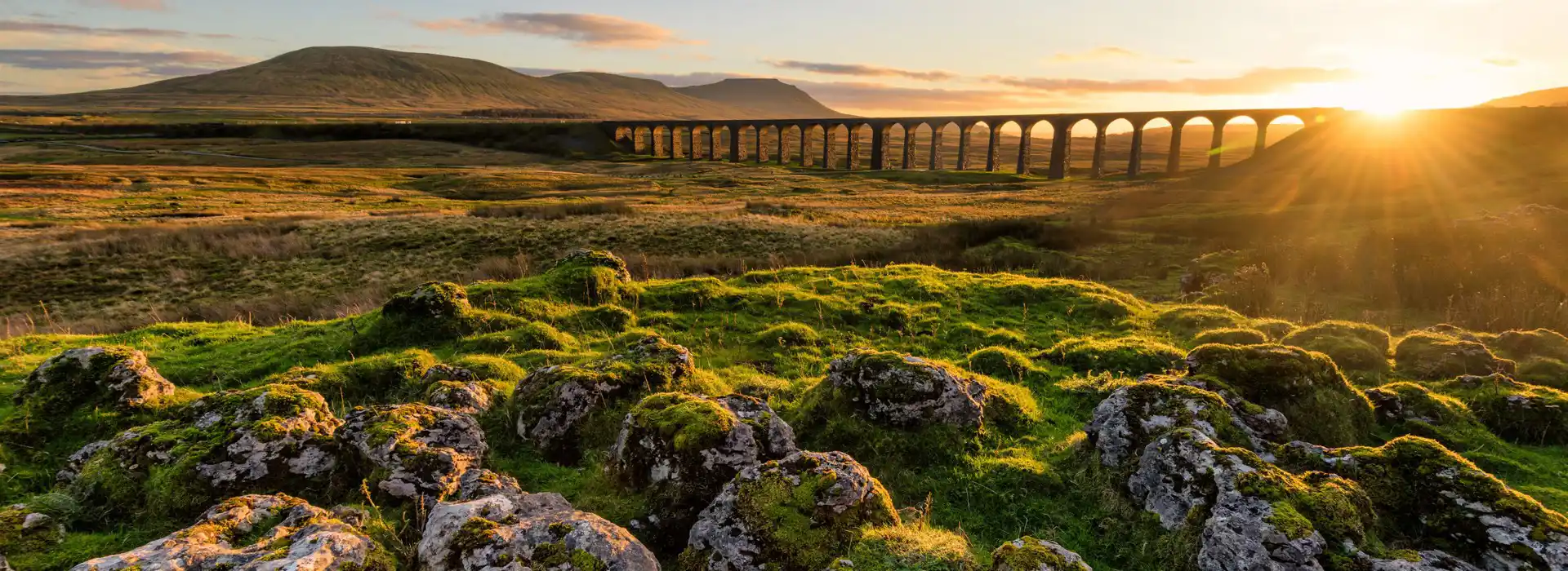 Campsites in Ribblehead