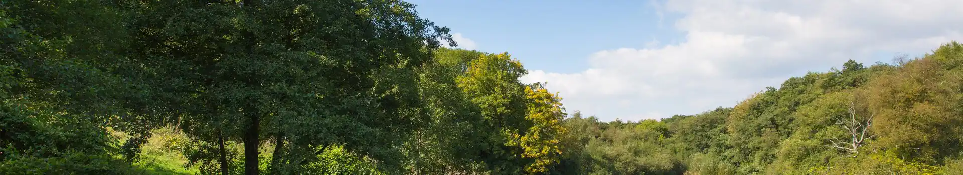 Campsites near the Blackdown Hills