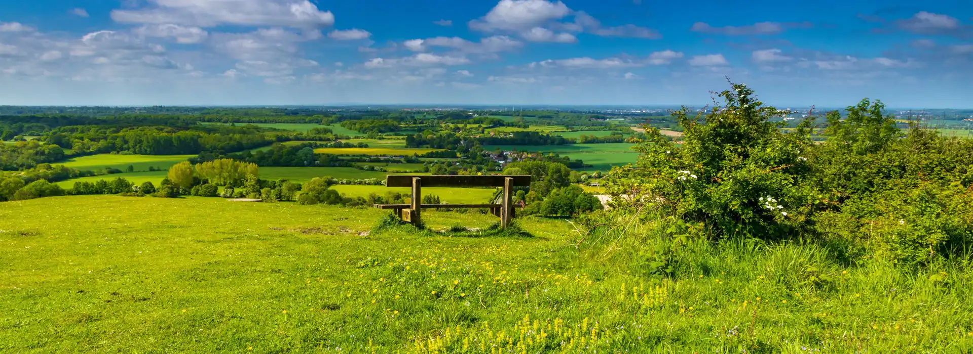 Campsites near the North Downs Way