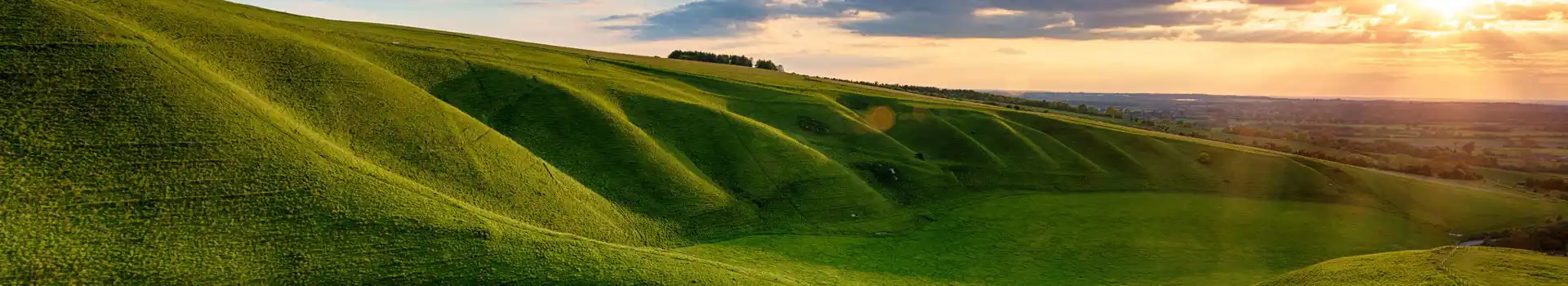 Campsites near the ridgeway