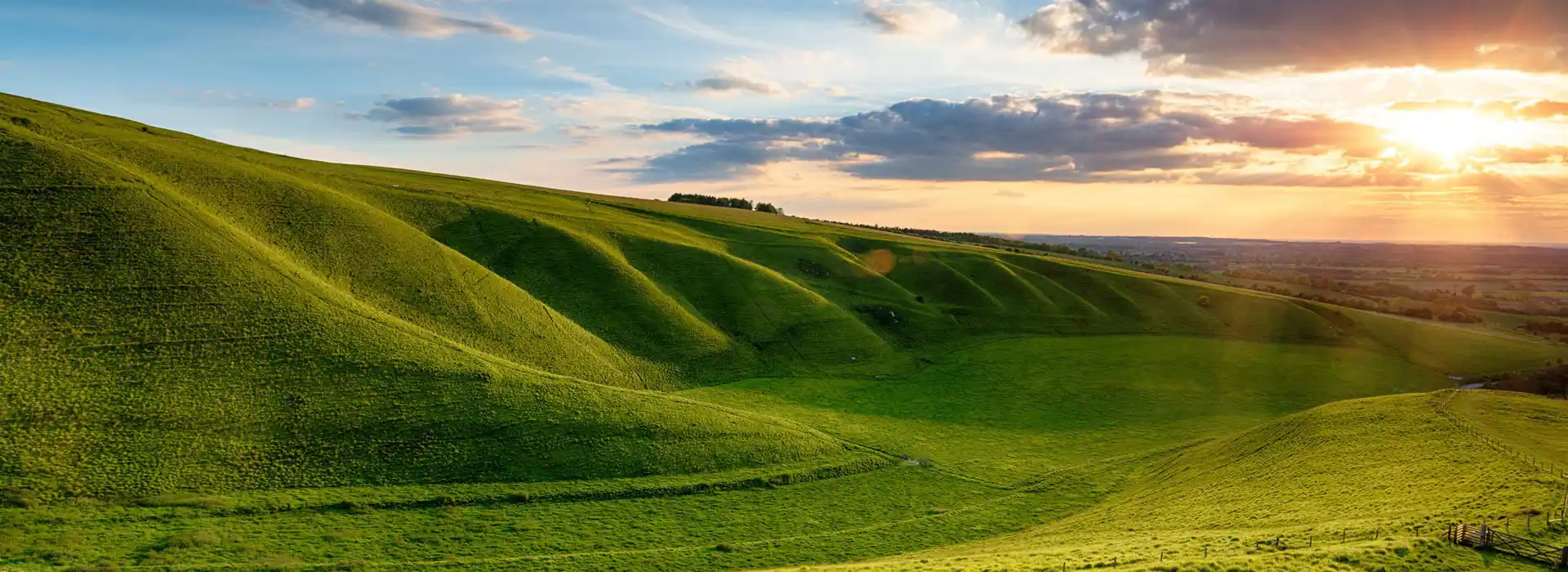 Campsites near the ridgeway