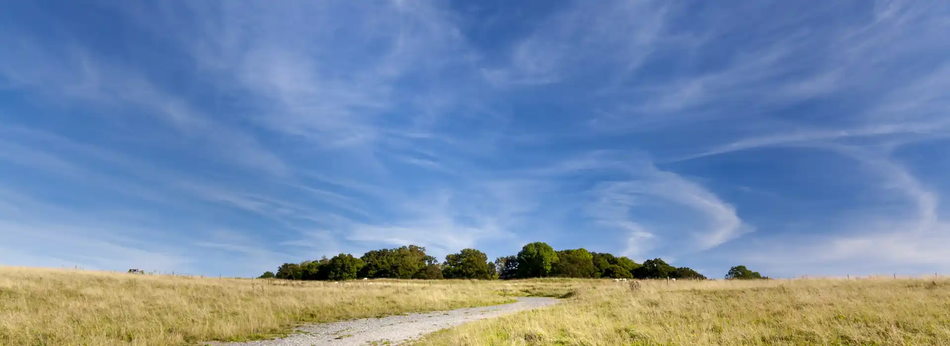 Jubilee Trail