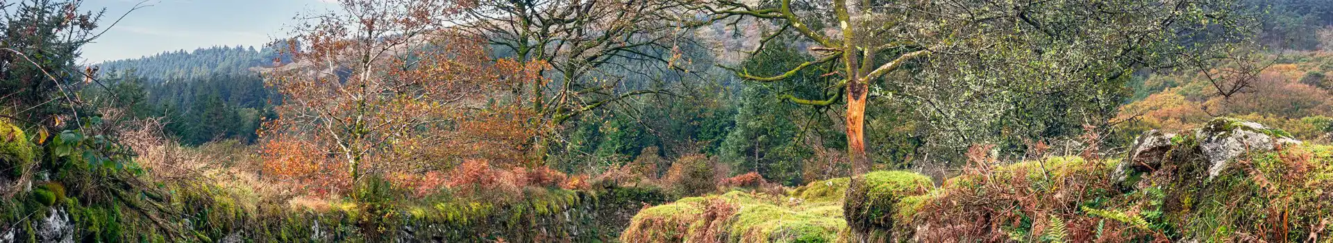 Two Moors Way