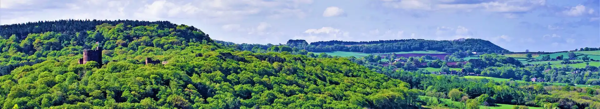 Campsites near the Sandstone Trail