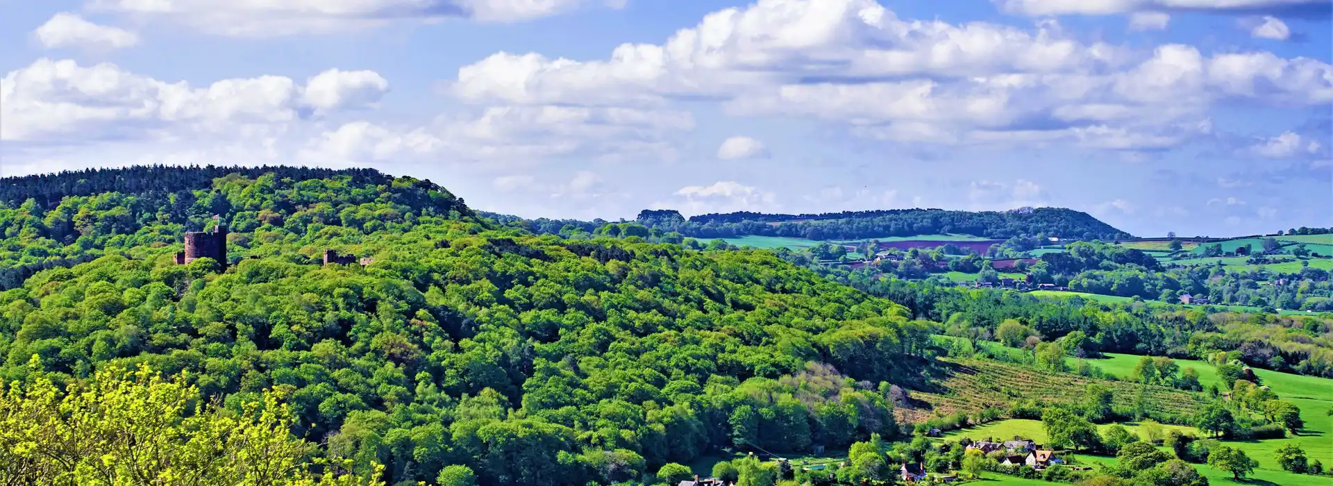 Campsites near the Sandstone Trail