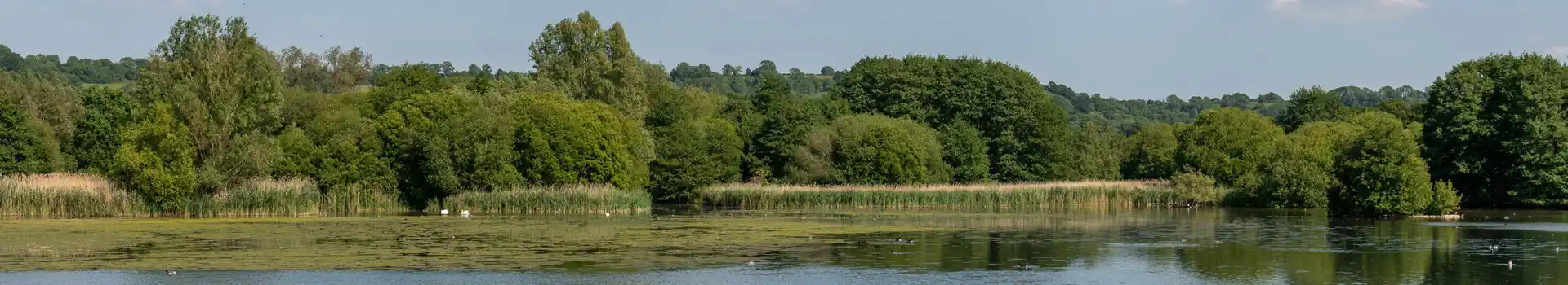Campsites in the Chew Valley