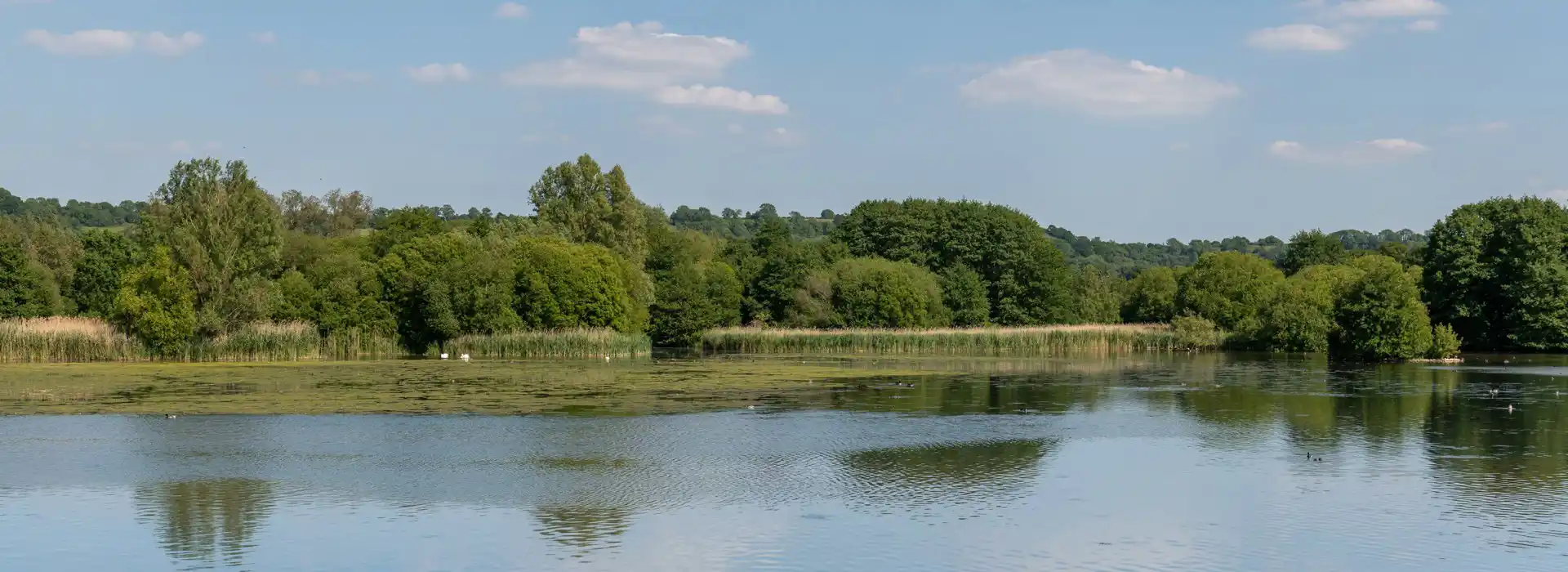 Campsites in the Chew Valley