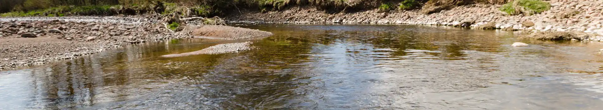 Campsites near the River Breamish