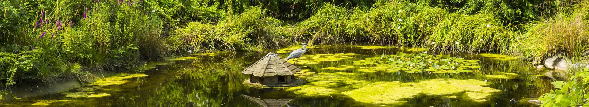 Campsites in Lewisham