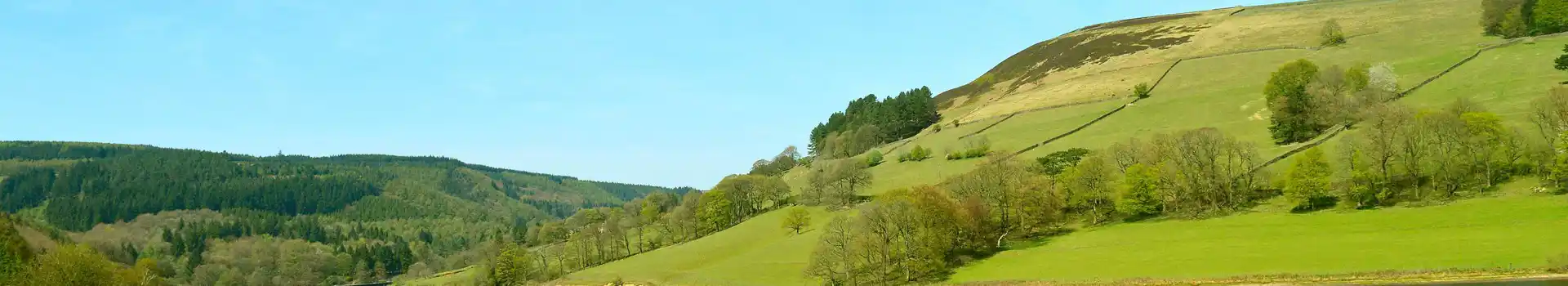 Derbyshire