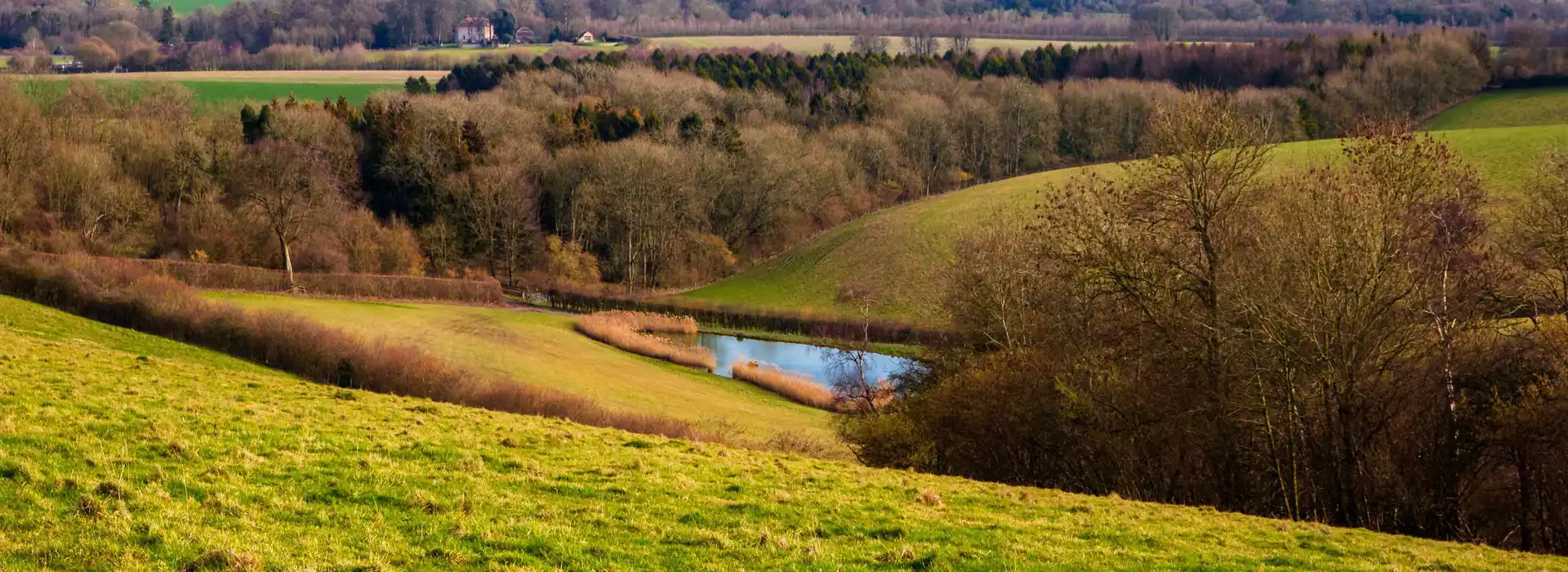 Meon Valley