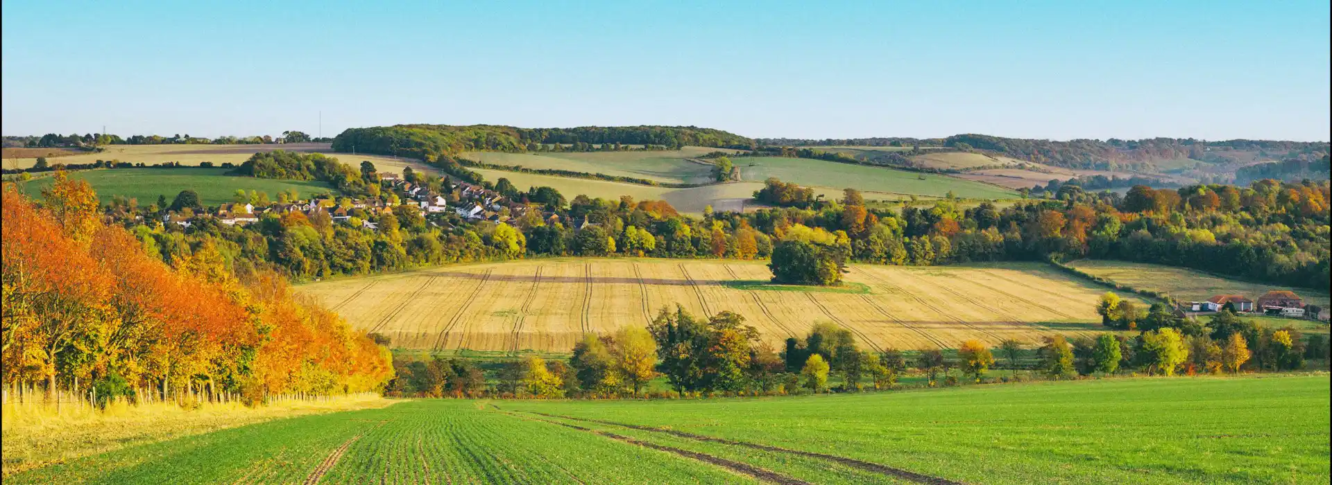 Campsites in Kent, Surrey and Sussex