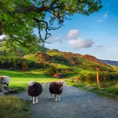 All year round campsites in North West England All year round campsites in North West England