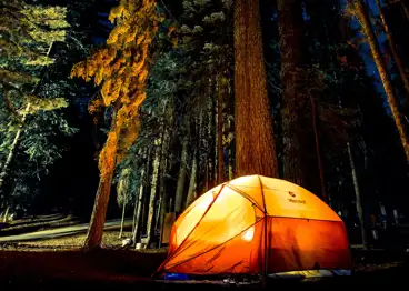 Orange tent with bright light in dark woods