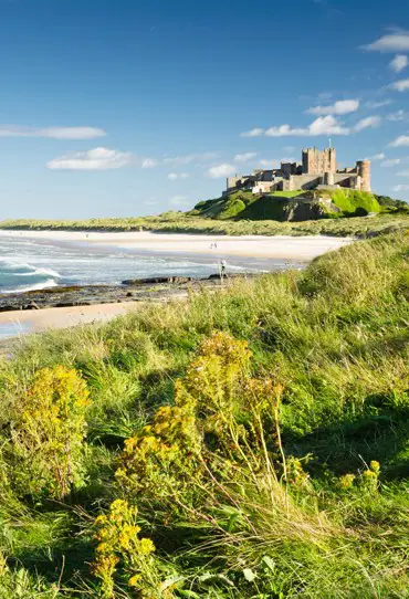 Campsites in Northumberland