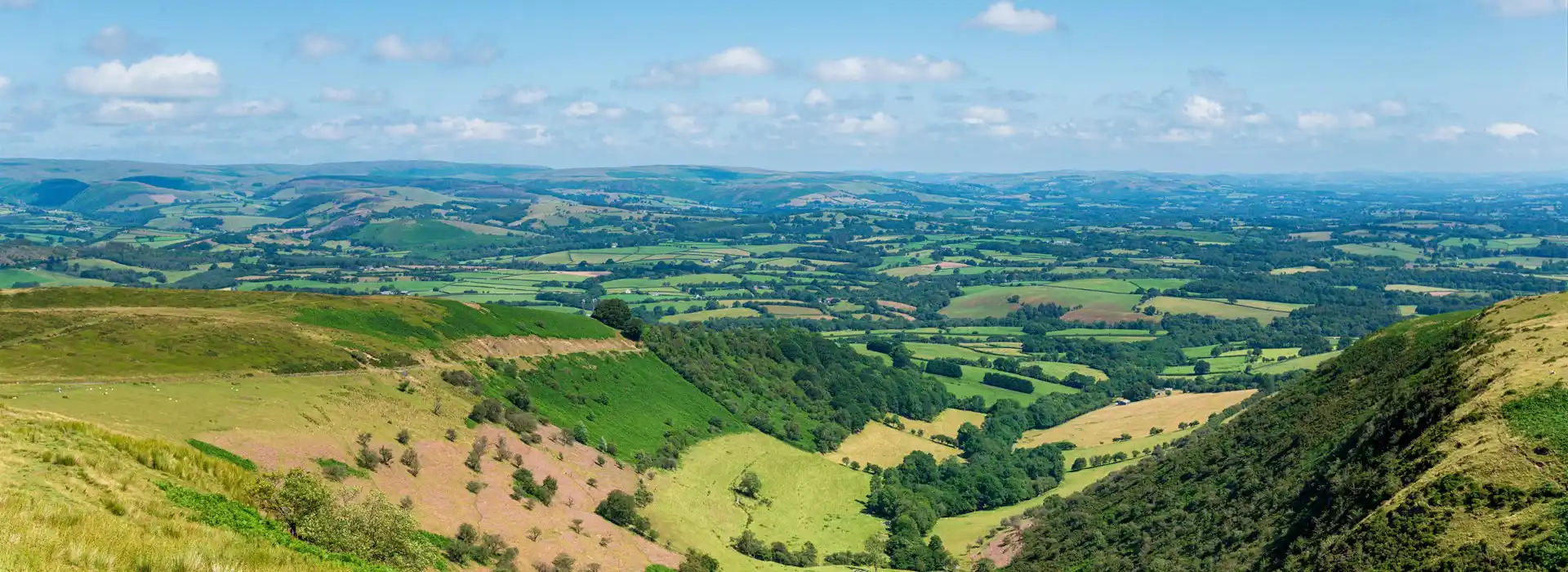 Campsites in Powys