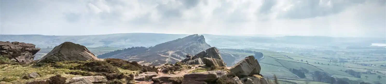 The Roaches