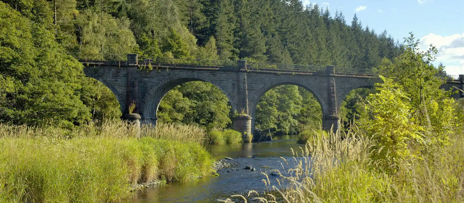 Neidpath Viaduct, River Tweed, Peebles, Scottish Borders