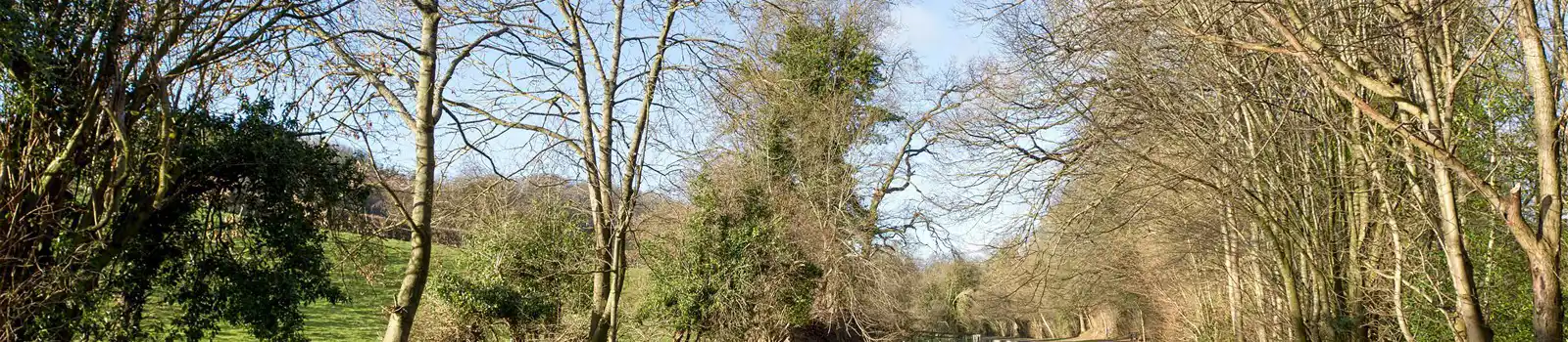 Canal near Pentre, Wrexham, North Wales